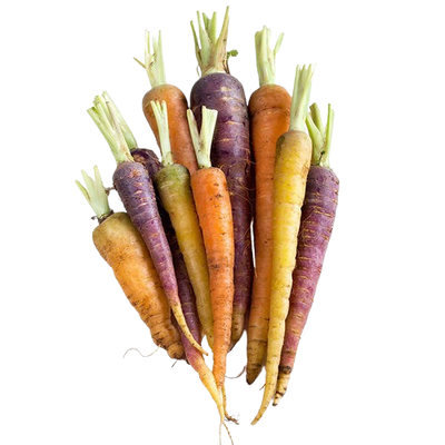 Rainbow Baby Carrot
