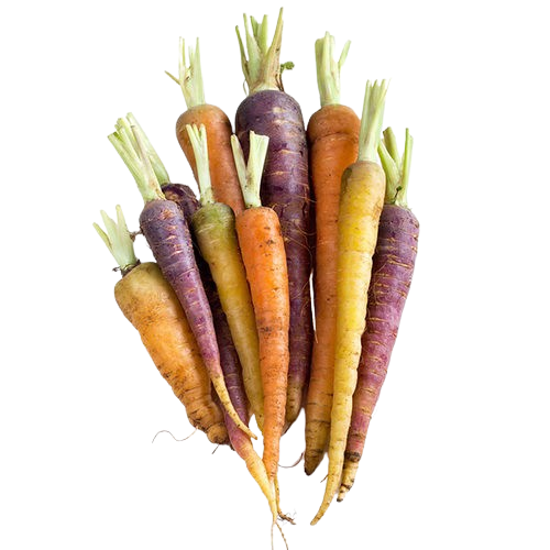 Rainbow Baby Carrot