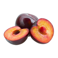 Plum Uzbekistan