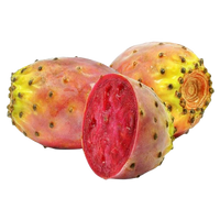 Prickly Pear (Cactus Fruit)