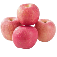 Apple Scifresh