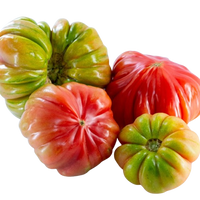 Lebanese Tomato Beef