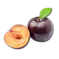 Plum Uzbekistan