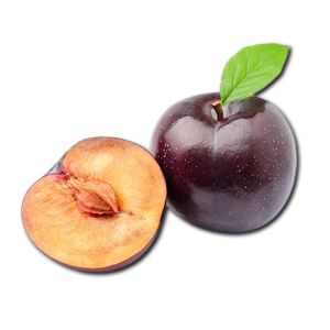 Plum Uzbekistan
