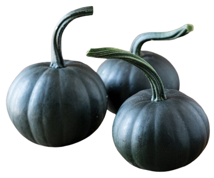 Twilight Pumpkin ~ 1pc