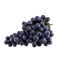 Black Grape Autumn seedless