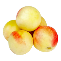 White Nectarine Uzbekistan