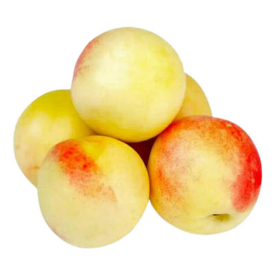 White Nectarine Uzbekistan