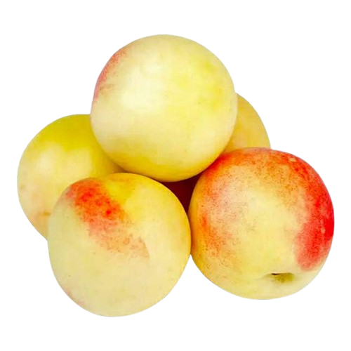 White Nectarine Uzbekistan