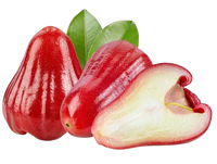 Rose Apples (3-5 pcs)