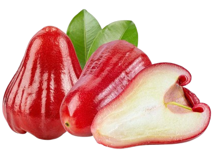 Rose Apples (3-5 pcs)
