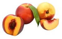 Nectarine