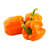 Orange Capsicum
