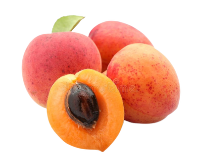 Subhon Apricot Uzbekistan