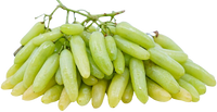Grape Lady Finger Uzbekistan