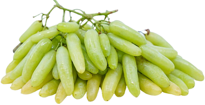 Grape Lady Finger Uzbekistan