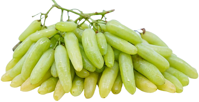 Grape Lady Finger Uzbekistan