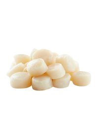 Wild Sakhalin Scallops XXL  FROZEN FILLETS ~19-20 pcs