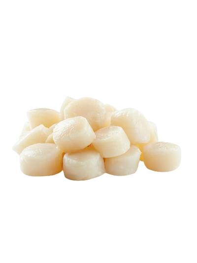 Wild Sakhalin Scallops XXL  FROZEN FILLETS ~19-20 pcs