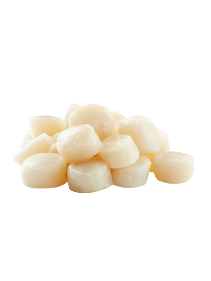 Wild Sakhalin Scallops XXL  FROZEN FILLETS ~19-20 pcs
