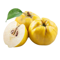 Quince Uzbekistan