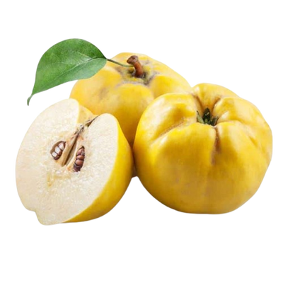 Quince Uzbekistan