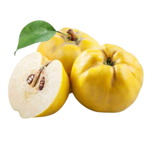 Quince Uzbekistan