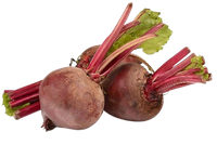 Beetroot Uzbekistan