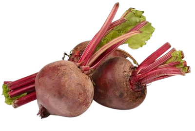 Beetroot Uzbekistan