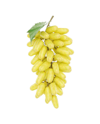 Grape Lady Finger Uzbekistan