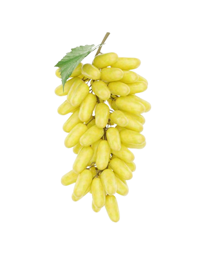 Grape Lady Finger Uzbekistan