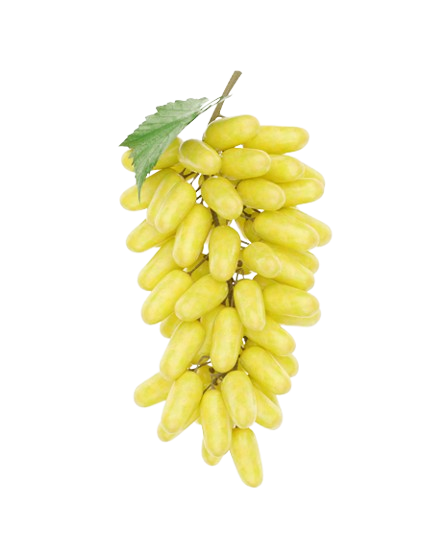 Grape Lady Finger Uzbekistan
