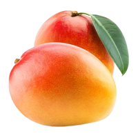Mango Mabrouka ~1 pc
