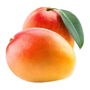 Mango Mabrouka ~1 pc