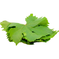 Lebanese Fresh Grape Leaves