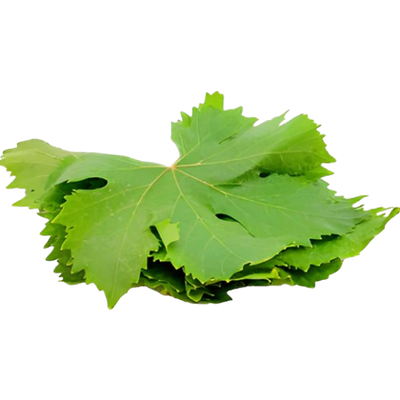 Lebanese Fresh Grape Leaves
