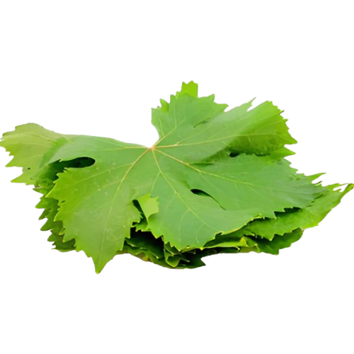 Lebanese Fresh Grape Leaves