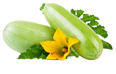 Marrow Uzbekistan ~2 pc