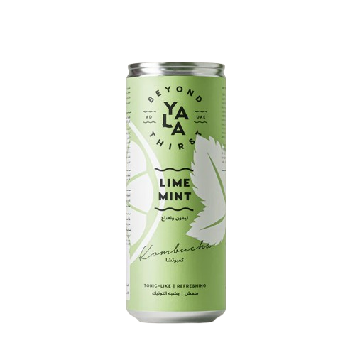 LIME&MINT KOMBUCHA CAN