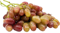 Rizmat Grapes Uzbekistan
