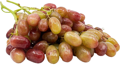 Rizmat Grapes Uzbekistan