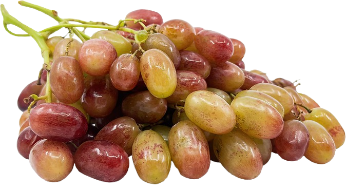 Rizmat Grapes Uzbekistan