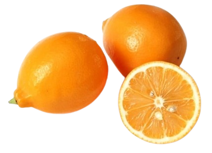 Young Lemon Uzbekistan (4-5 pcs)