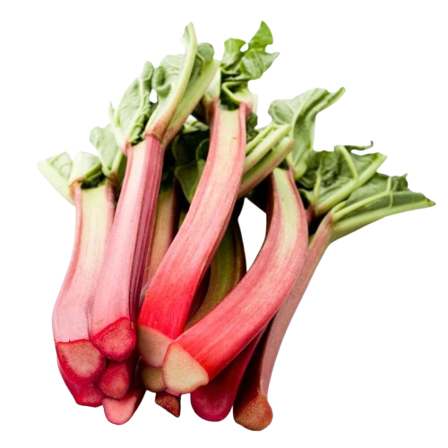 Rhubarb