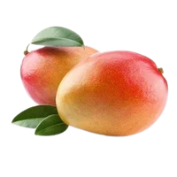 Brazilian Mango Tommy