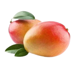 Brazilian Mango Tommy