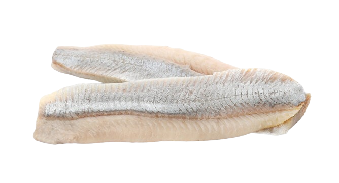 Lightly Salted Olyutor Herring Fillet