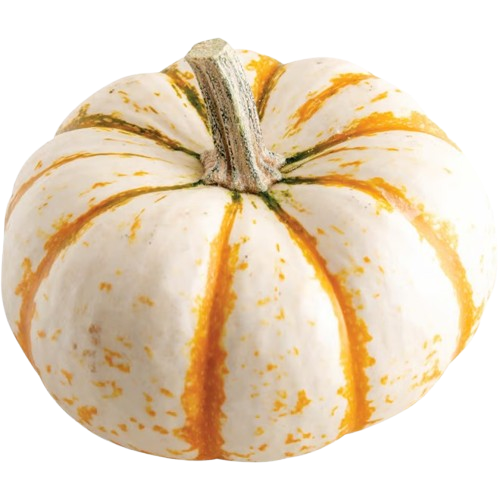 Mini Tiger Pumpkin ~ 1pc