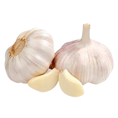 Garlic Uzbekistan