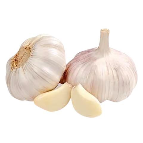 Garlic Uzbekistan